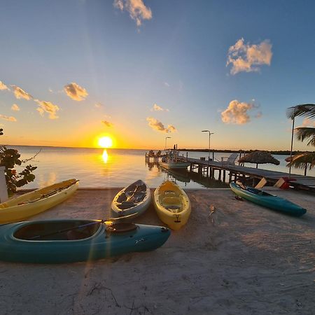 Bay Towers Lejlighedshotel Caye Caulker Eksteriør billede